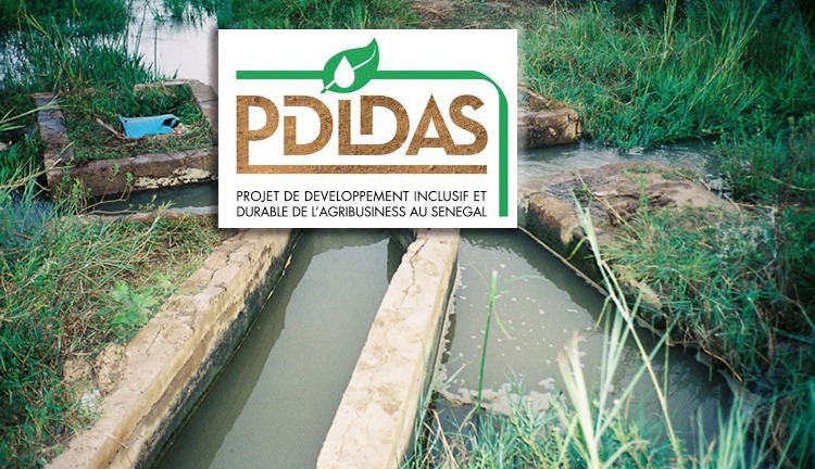 Enquêtes finales pour l’évaluation d’impact du Projet de Développement
Inclusif et Durable de l’Agrobusiness au Sénégal (PDIDAS) (juin- septembre
2021)